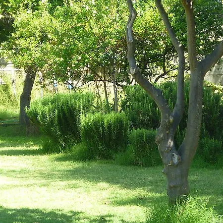 Casa Sa Ferula Флумини-ди-Кварту